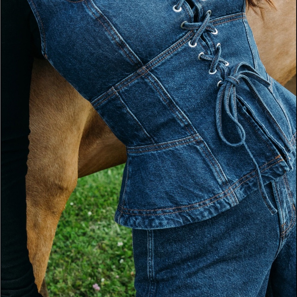 Reformation x Kacey Musgraves Dallas denim corset